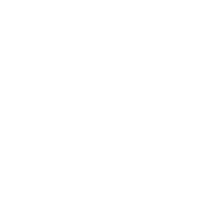 Organize an Event icon