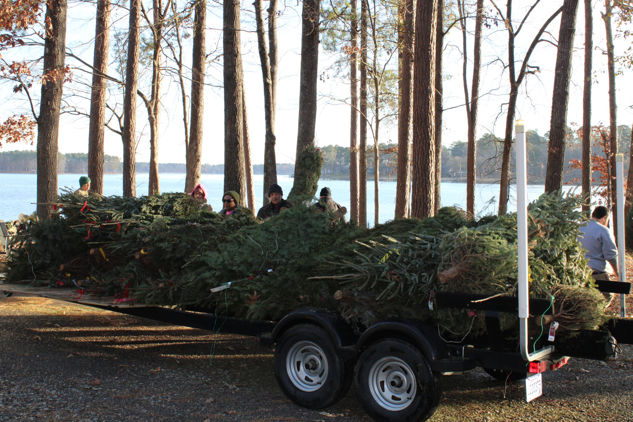 Recycle Your Christmas Tree to Support Louisiana’s Coast 