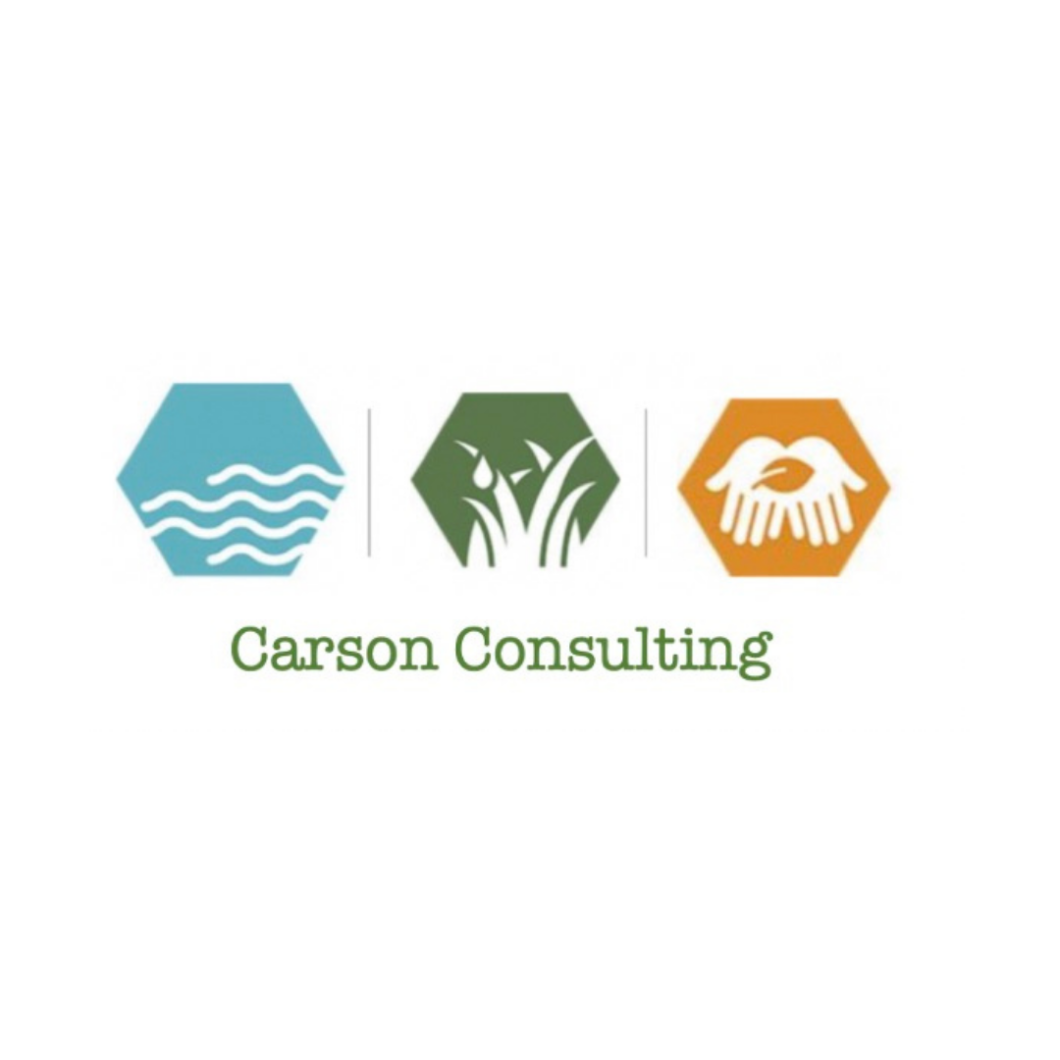 Carson Consulting
