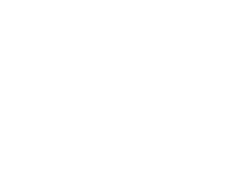 Icon image of roadway litter