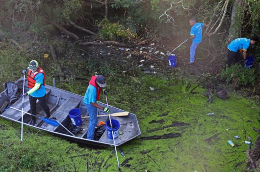 Volunteers in a small boat and along the shoreline remove litter from a heavily vegetated waterway using buckets, grabbers, and other cleanup tools.