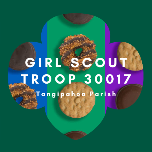 Louisiana East Girl Scout Troop 30017 logo